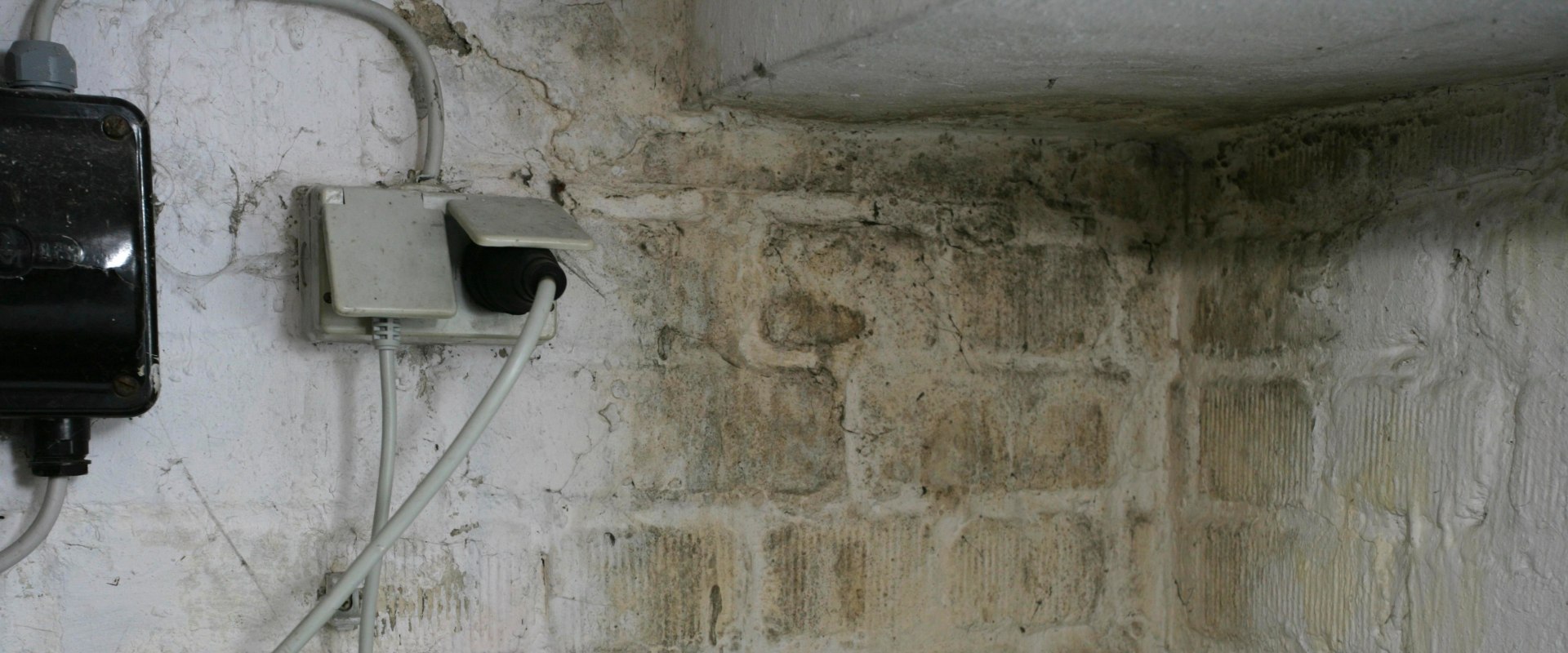 Die Wichtigkeit der Aufrechterhaltung einer idealen Luftfeuchtigkeit in Ihrem Zuhause